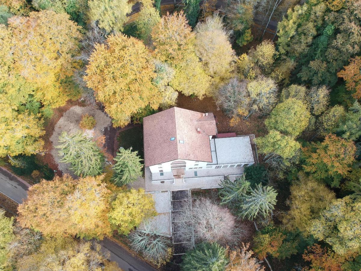 Elda Hotel Vico Del Gargano Eksteriør bilde